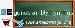WordMeaning blackboard for genus amblyrhynchus